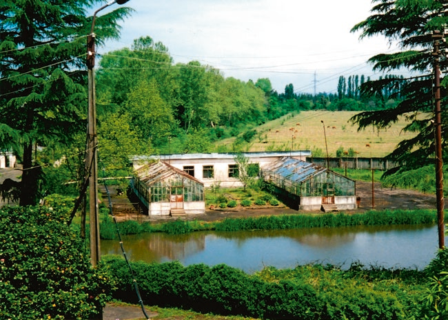 A greenhouse in Kobuleti